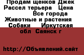 Продам щенков Джек Рассел терьера › Цена ­ 25 000 - Все города Животные и растения » Собаки   . Иркутская обл.,Саянск г.